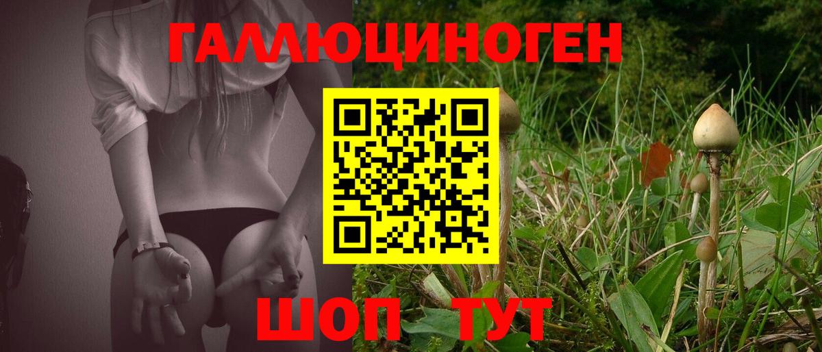 Псилоцибиновые грибы мицелий  Вход с VPN  Галлюциногенные грибы MAGIC MUSHROOMS  Звенигород 