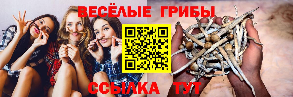Галлюциногенные грибы мухоморы Звенигород